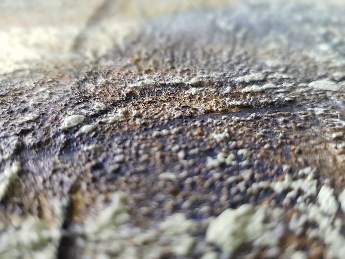 To Be By My Side, 50 x 150cm